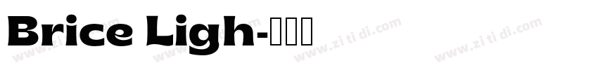 Brice Ligh字体转换